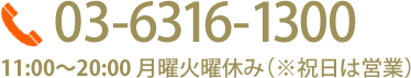 03-6316-1300